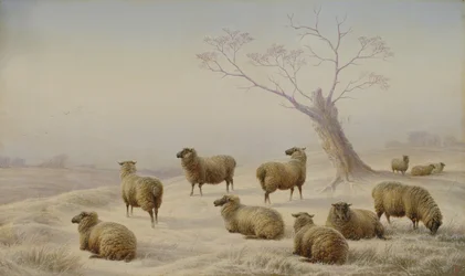Moutons dans la neige, 1880